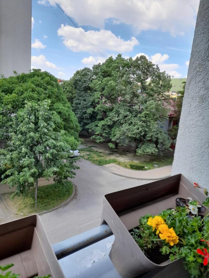 נובי סאד Apartman Aurora מראה חיצוני תמונה